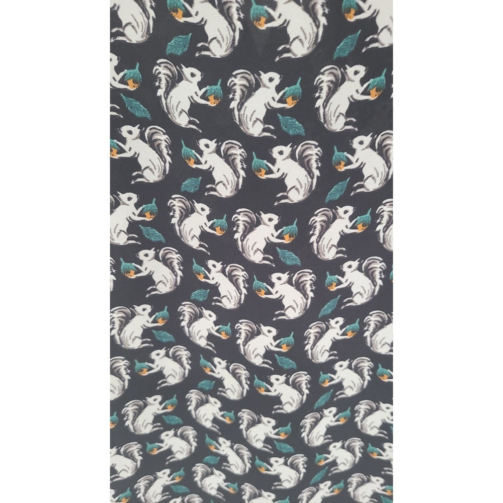 Loft Blouse Squirrel Novelty Women Blouse XS Button Up Long Sleev Teacher Career - Picture 4 of 9
